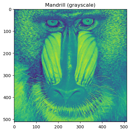 <Figure size 640x480 with 1 Axes>