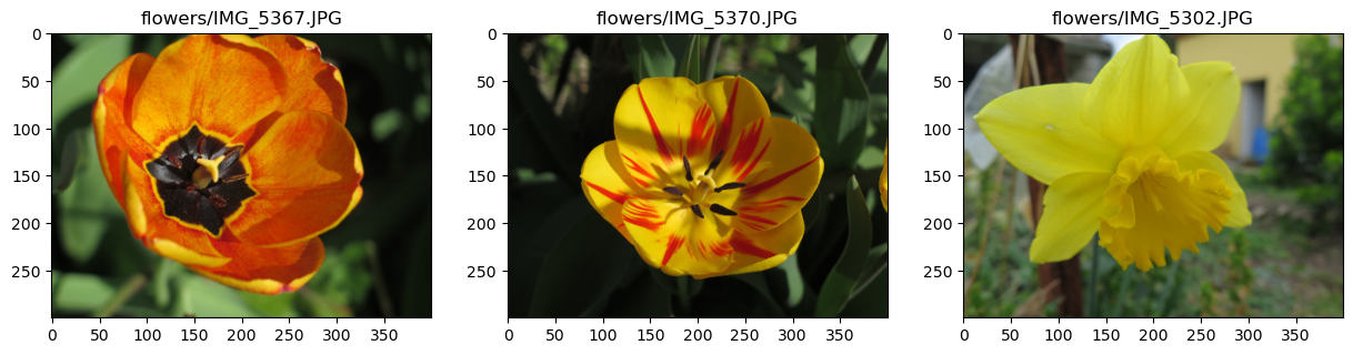 <Figure size 1500x500 with 3 Axes>