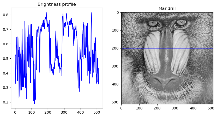 <Figure size 1000x500 with 2 Axes>
