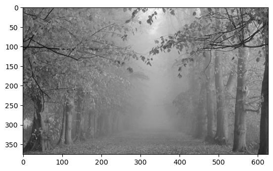 <Figure size 640x480 with 1 Axes>