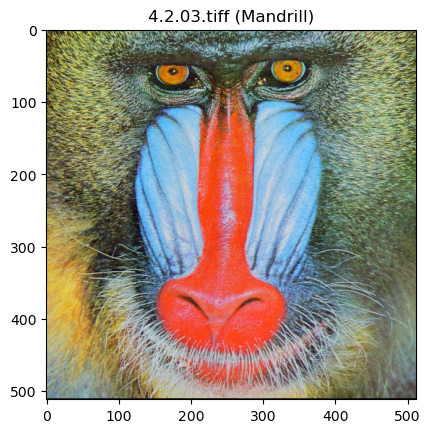 <Figure size 640x480 with 1 Axes>