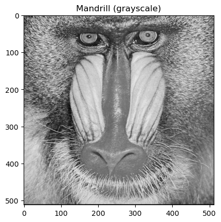 <Figure size 640x480 with 1 Axes>
