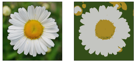../_images/example-daisy.png