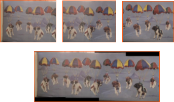 Photograph stitching.