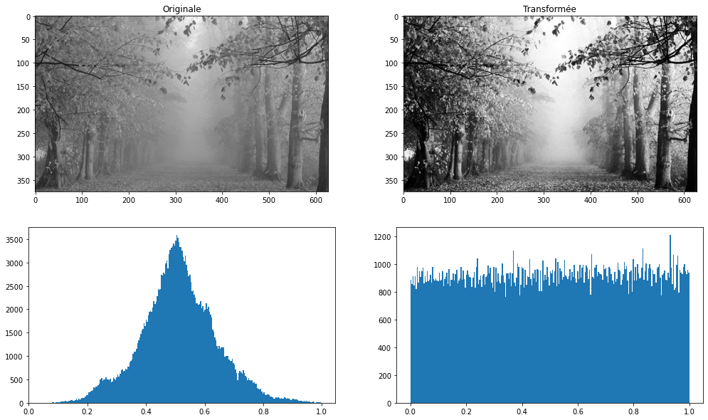 _images/24765f67192d60c8ed3f4204f5d0950b0f455c039d2e136a619c59e64d3b4c66.png