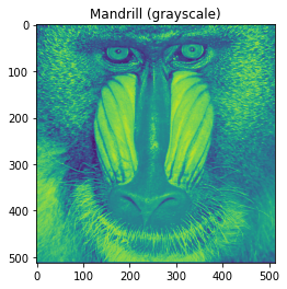 _images/2671b61405dfe543fabdf824fc1baf510aac2f9b6bbf990f9605940d55c5c1a2.png