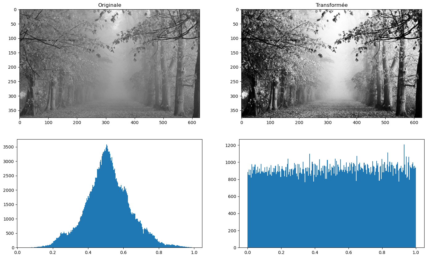 _images/8eb85158a10f837ee39ea7287590f9343b70ed5336f690e947e8b91bb1ce053b.png