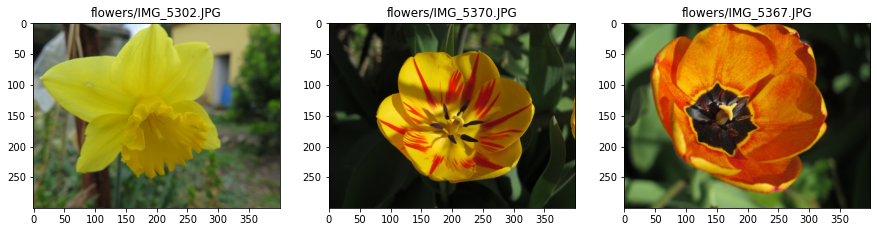_images/d85fc862c06317c161ba4dab7955836e18d91cb967d2b9f683dc818f23c70f60.png